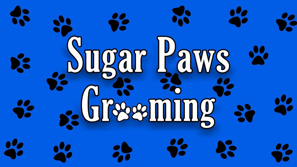 Sugar Paws Grooming |  | 2/67 Carrington St, West Wallsend NSW 2286, Australia | 0447007021 OR +61 447 007 021