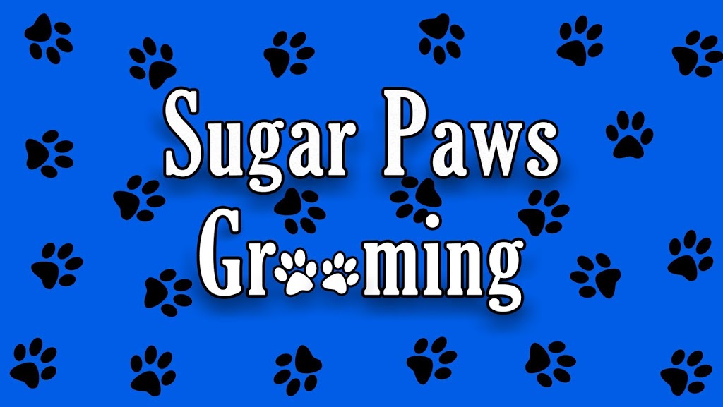 Sugar Paws Grooming | 2/67 Carrington St, West Wallsend NSW 2286, Australia | Phone: 0447 007 021