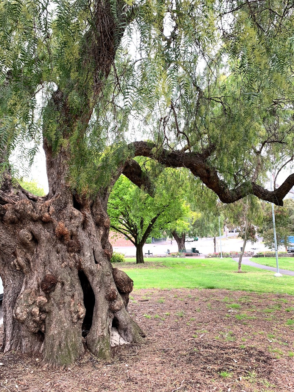 Pleasance Gardens | park | Unnamed Road, North Melbourne VIC 3051, Australia