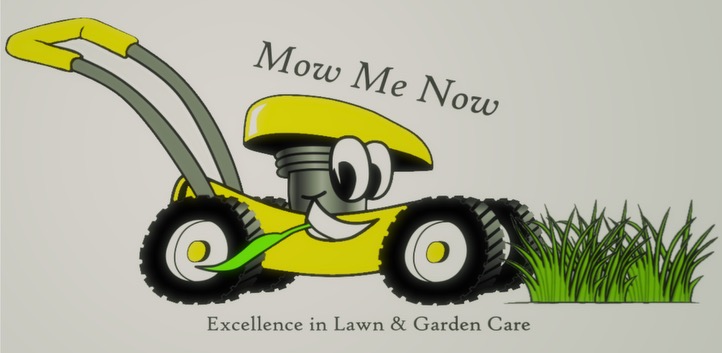 Mow Me Now | 13-15 Manikato Cl, Glenlogan QLD 4280, Australia | Phone: 0422 871 367