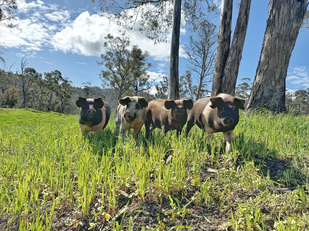 The Pork Hut | 379 Black Hills Rd, Black Hills TAS 7140, Australia | Phone: 0400 156 145