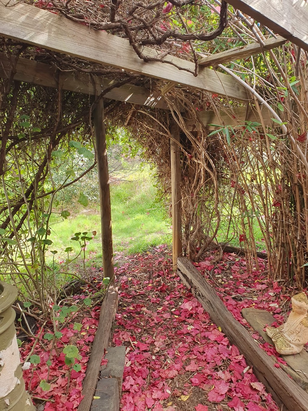 Sophro Meditation | Loddon Valley Hwy, Woodvale VIC 3556, Australia | Phone: 0407 463 614