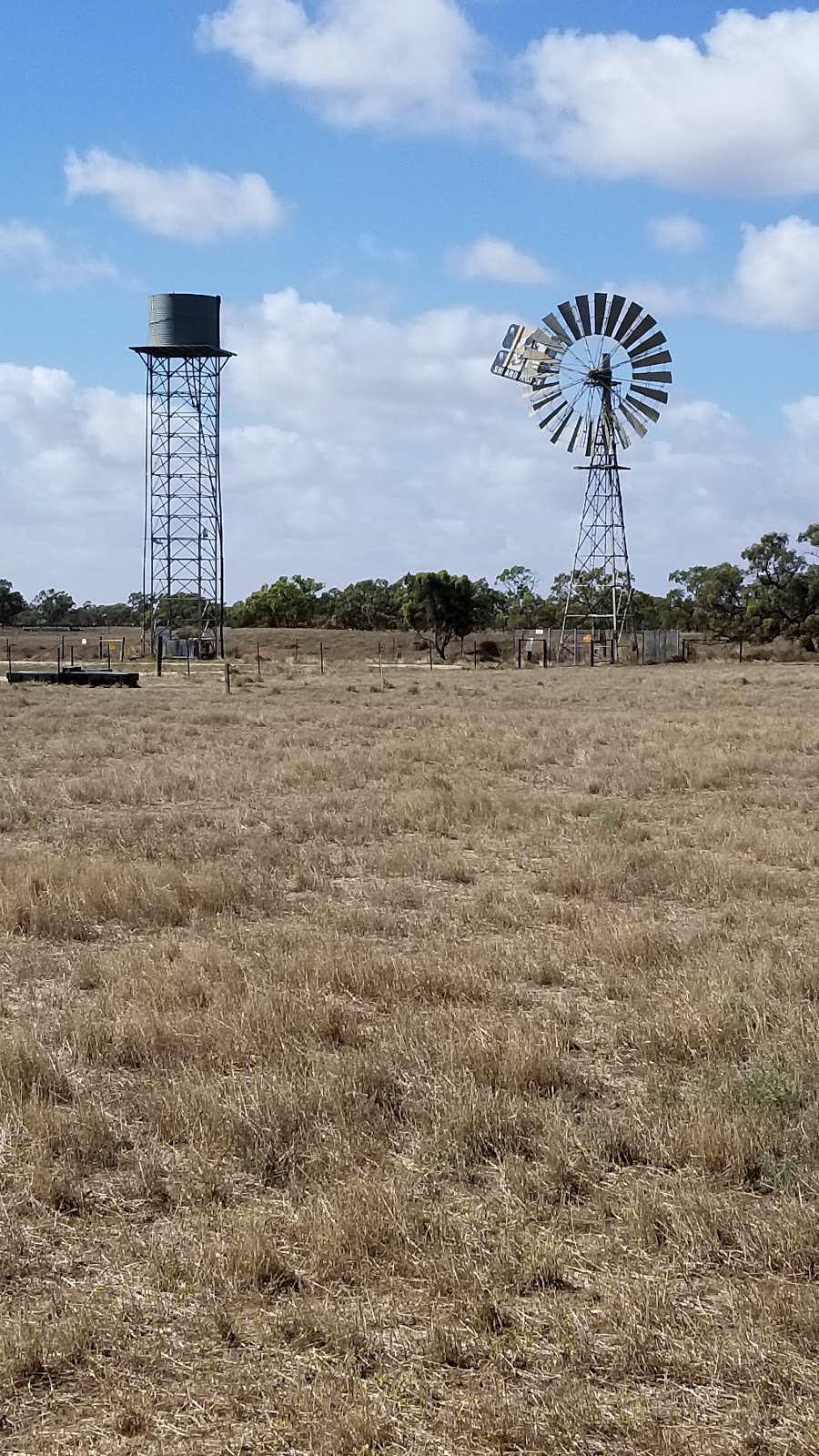 Shear Outback | tourist attraction | Hay South NSW 2711, Australia | 0269934000 OR +61 2 6993 4000