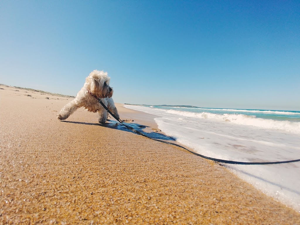 Greenhills Beach Dog Off Lead | park | Greenhills St, Kurnell NSW 2231, Australia