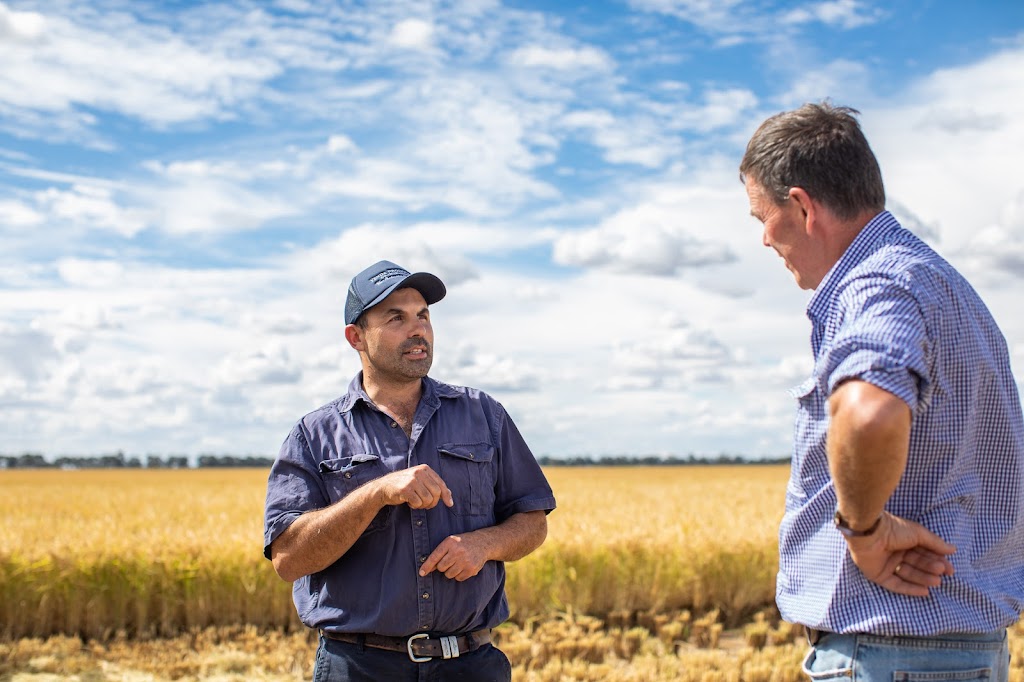 Rice Extension | 1850 Conargo Rd, Jerilderie NSW 2716, Australia | Phone: 0419 174 772
