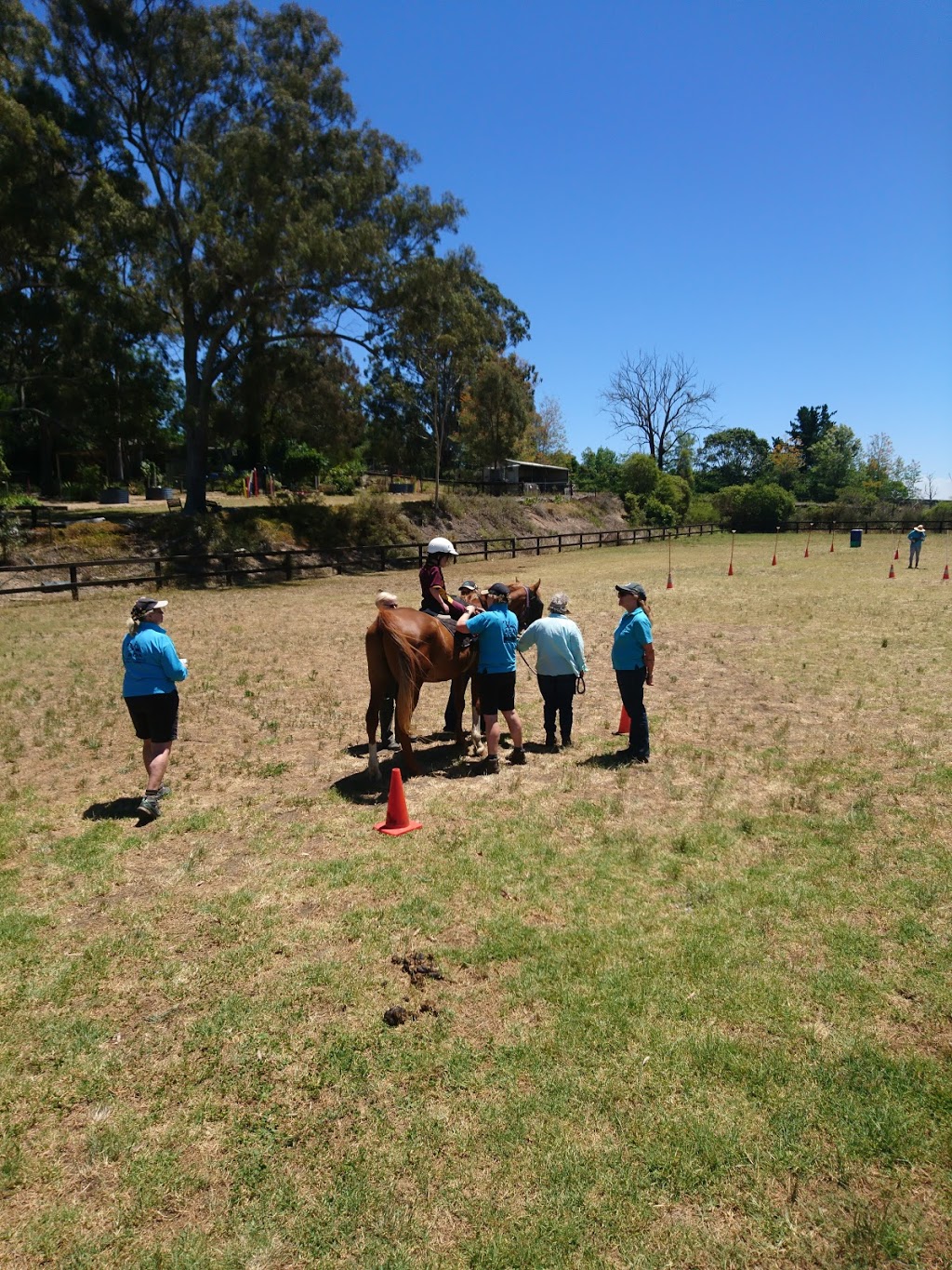 Riding for The Disabled Assoc NSW Tall Timbers Centre | 125 Old Pitt Town Rd, Box Hill NSW 2765, Australia | Phone: (02) 9679 1246