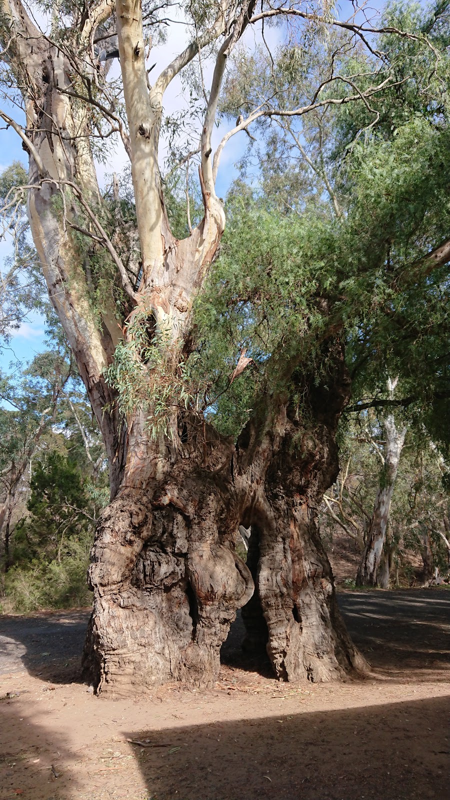 Bethany Reserve | park | 324 Bethany Rd, Bethany SA 5352, Australia