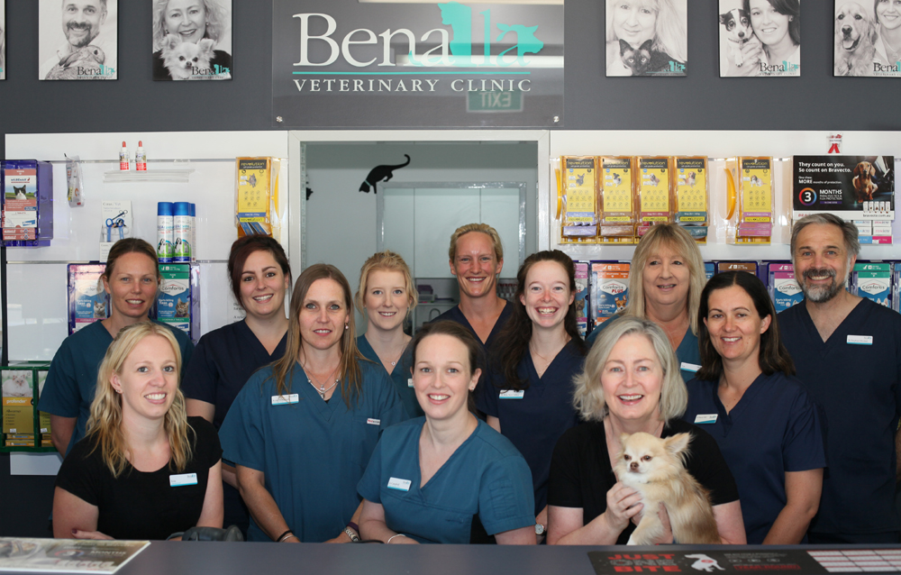 Benalla Veterinary Clinic | veterinary care | 16 Church St, Benalla VIC 3672, Australia | 0357622788 OR +61 3 5762 2788