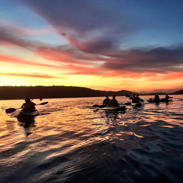 Pittwater Kayak Tours | 40 Iluka Park, Palm Beach NSW 2108, Australia | Phone: 0412 057 176