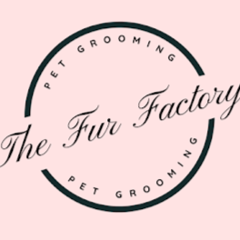 The Fur factory | 14/21 Hansford Rd, Coombabah QLD 4216, Australia | Phone: 0497 397 024