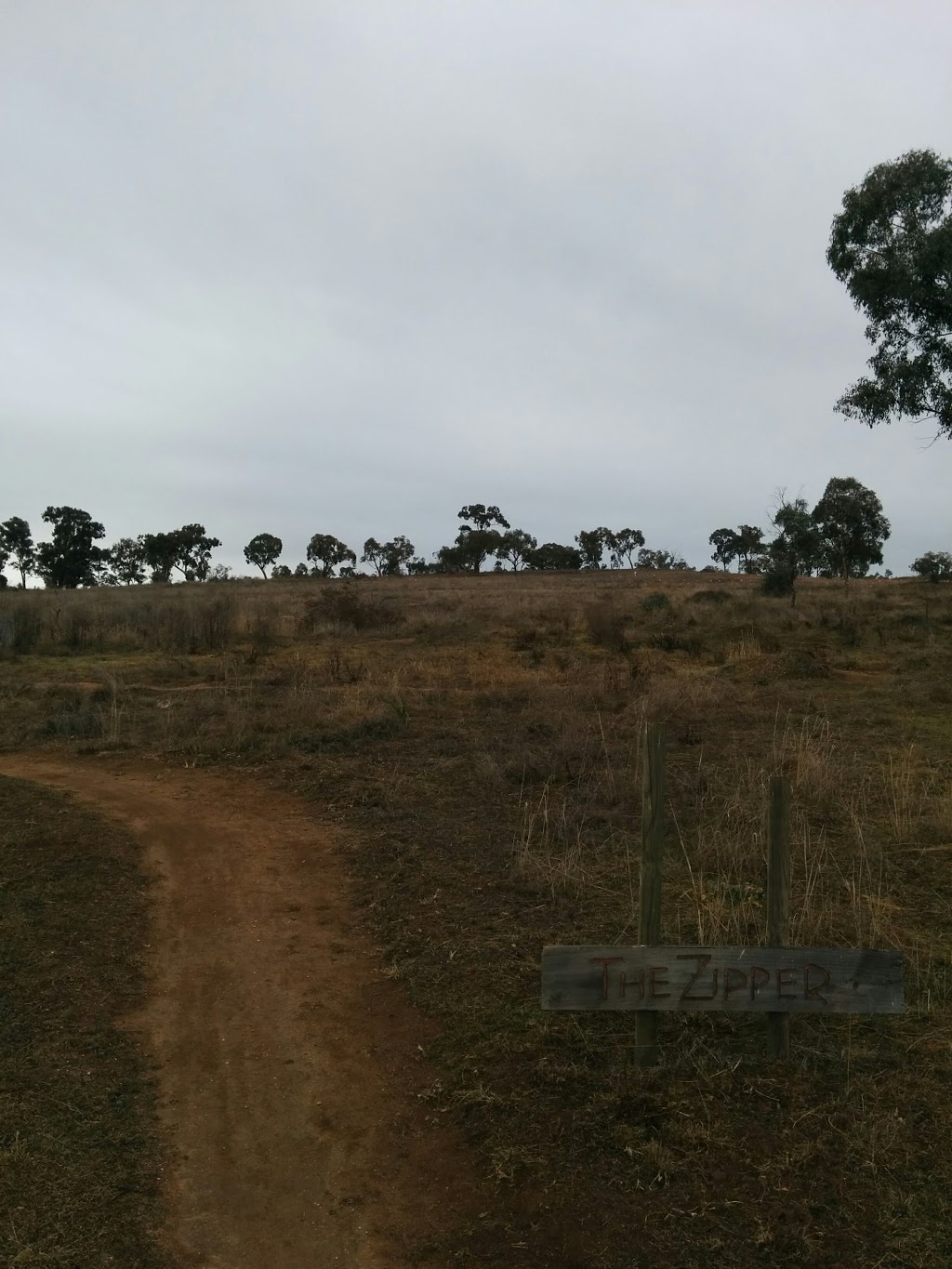 Bathurst Mountain Bike Park | park | 172/212 College Rd, Mount Panorama NSW 2795, Australia