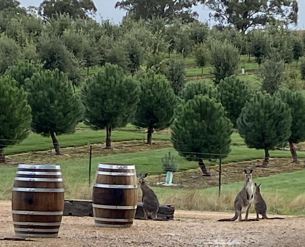 RedGround Truffle Hunts | 264 Titania Rd, Oberon NSW 2787, Australia | Phone: 0457 775 297