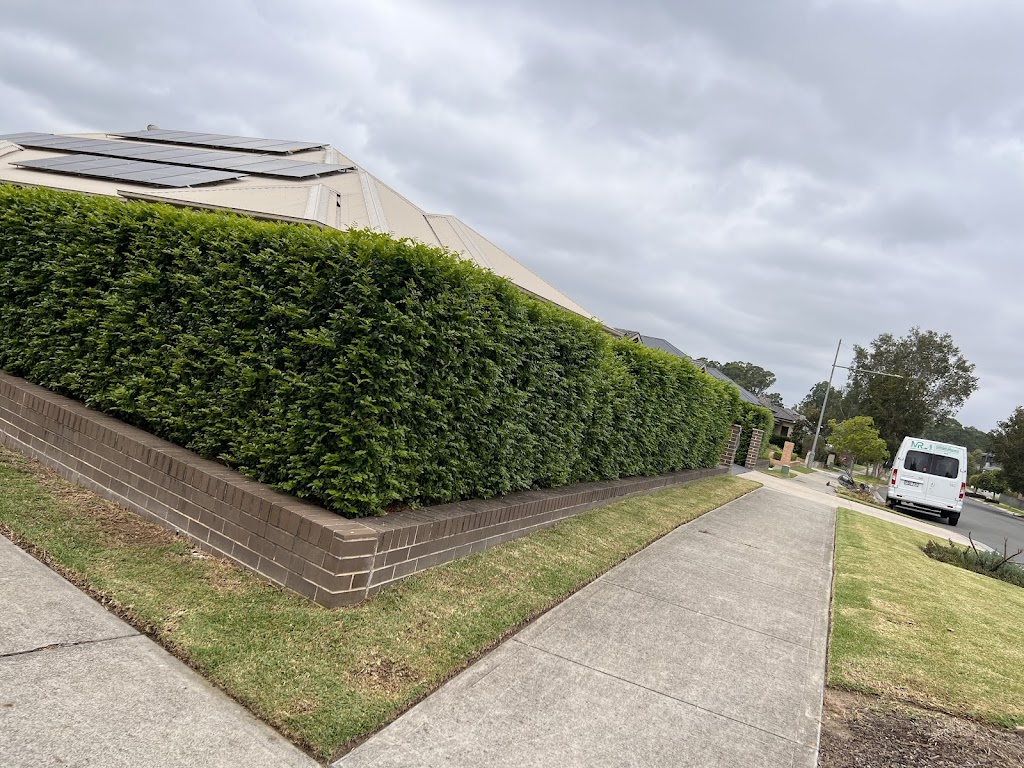 Mr Mower and removal services | 22 Tamborine Dr, Minto NSW 2566, Australia | Phone: 0420 272 114
