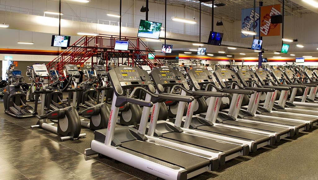 Crunch Fitness Mentone | gym | 3/23 Nepean Hwy, Mentone VIC 3194, Australia | 0386928101 OR +61 3 8692 8101