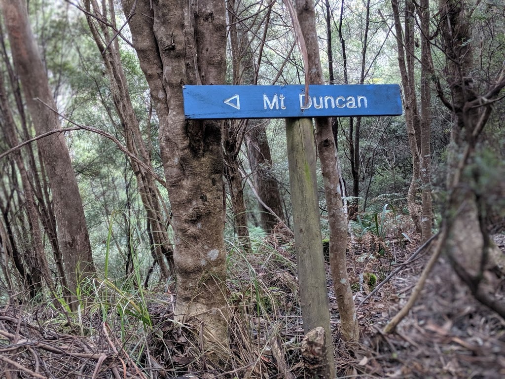 Mount Duncan | park | Mount Duncan Track, Riana TAS 7316, Australia