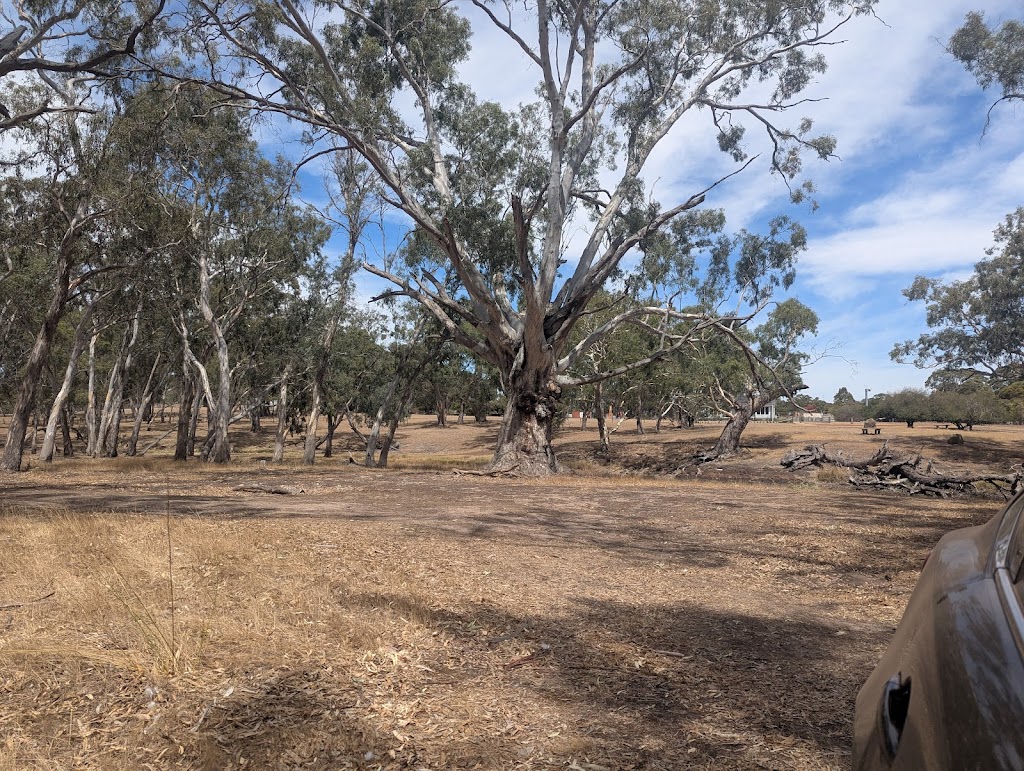 Cavendish River Camping | 9 Clarke St, Cavendish VIC 3314, Australia | Phone: 0499 048 184