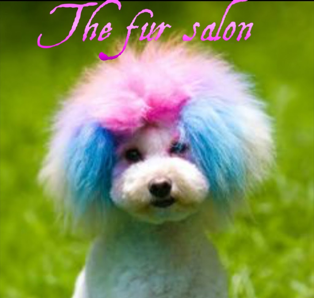 The fur salon | 6 Headland Waters, Mount Martha VIC 3934, Australia | Phone: 0435 204 824