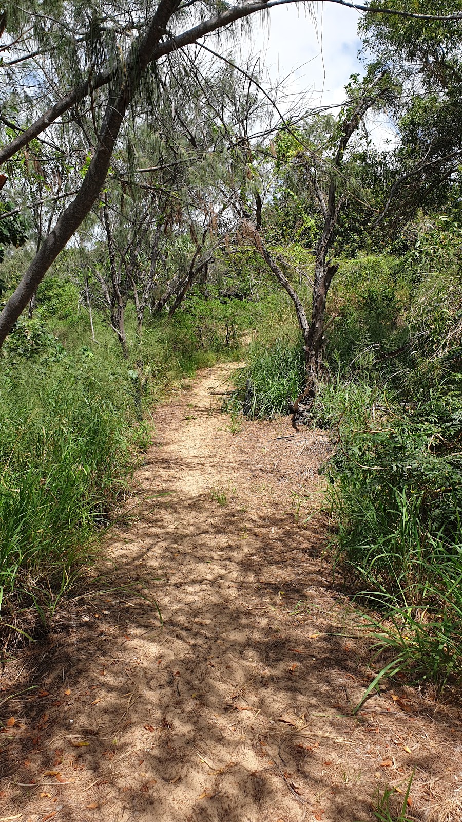 Alva Rest Area | park | Alva QLD 4807, Australia