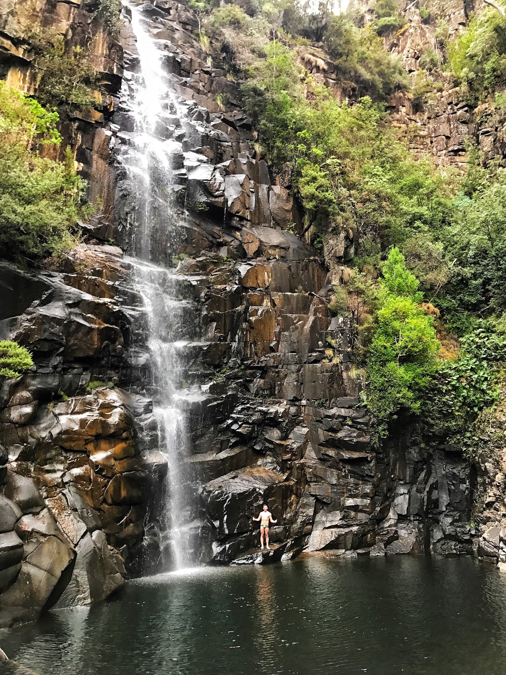 Meetus Falls Forest Reserve | park | Tasmania, Australia