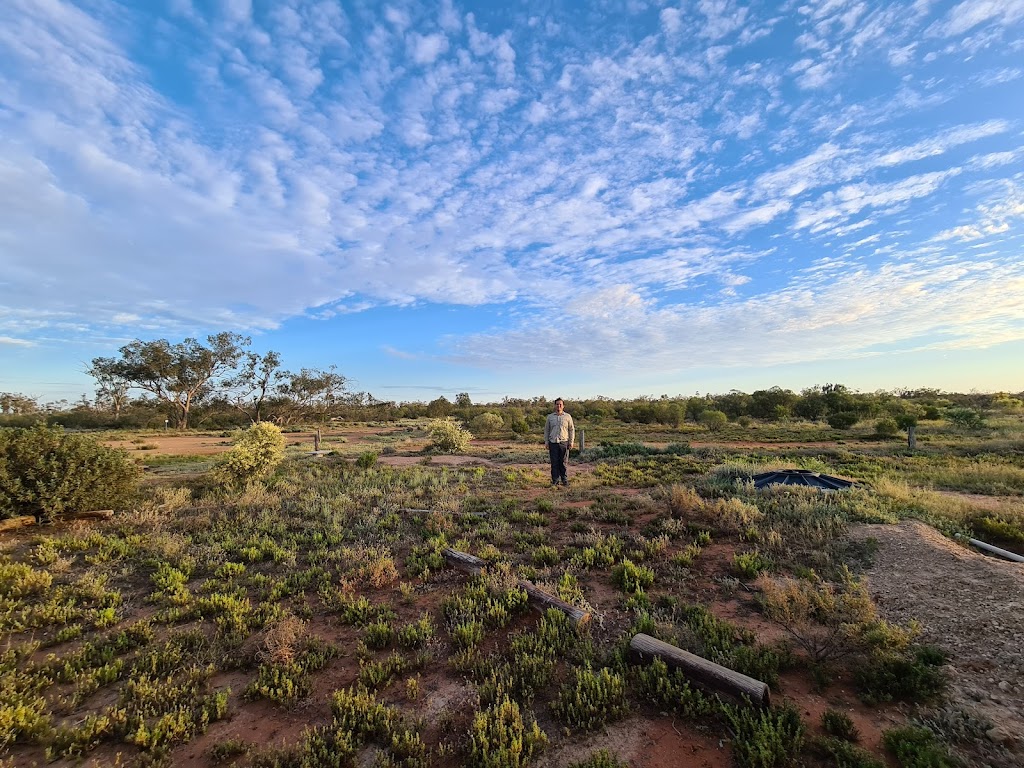 Naree Station | 14068 Dowling Track, Yantabulla NSW 2840, Australia | Phone: 1300 628 873