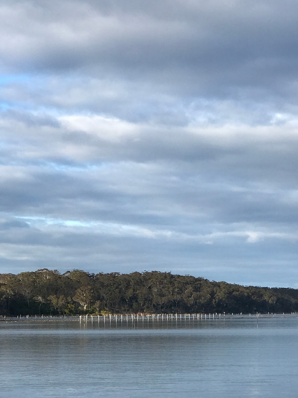 Pambula Oyster Co. | Shed 5/52 Landing Rd, Broadwater NSW 2549, Australia | Phone: 0402 760 647