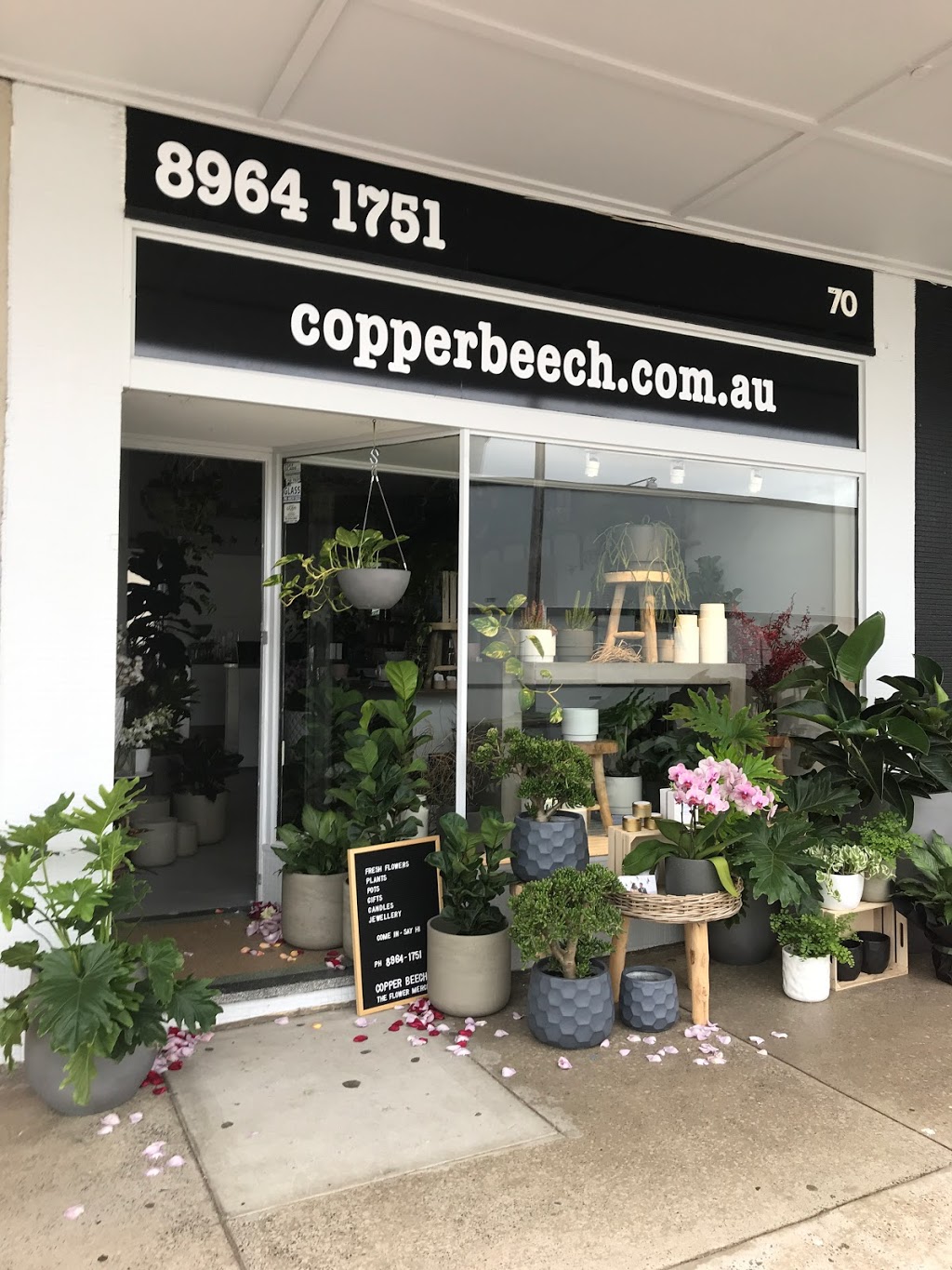 Copper Beech, The Flower Merchant | 70 Wanganella St, Balgowlah NSW 2093, Australia | Phone: (02) 8964 1751