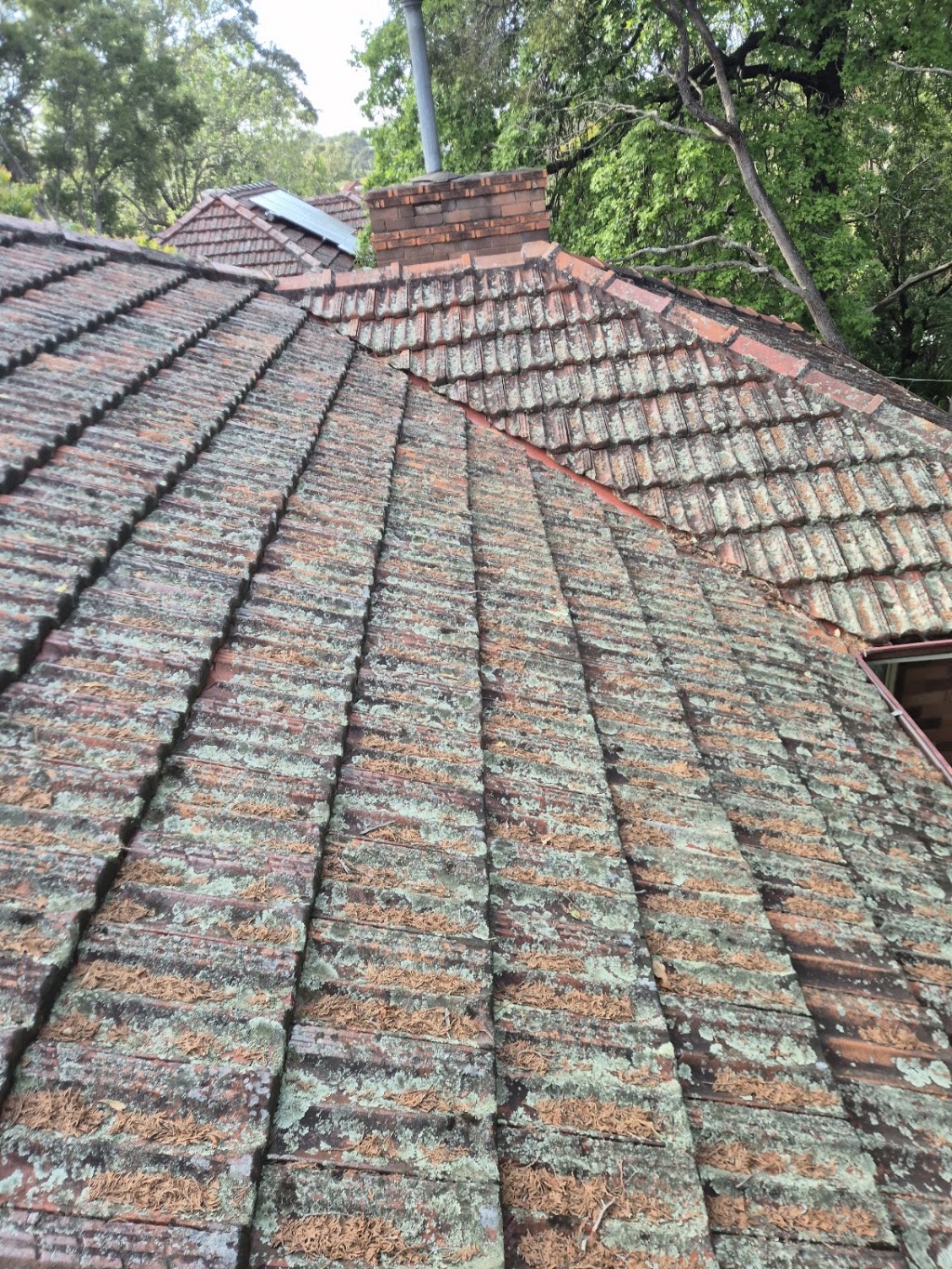 AA1roofing | 140 Wycombe St, Yagoona NSW 2199, Australia | Phone: 0450 321 151