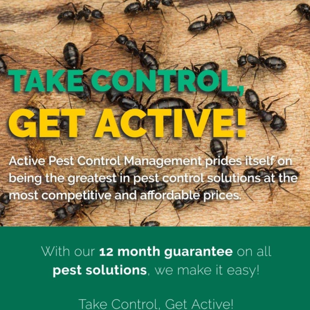 Active Pest Control Management - Pest & Termite Control | home goods store | 24 Thirroul Circuit, Prestons NSW 2170, Australia | 0426221296 OR +61 426 221 296