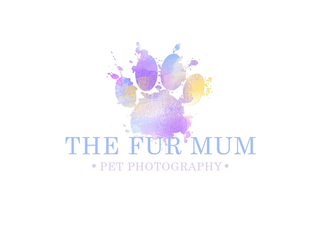 The Fur Mum Pet Photography |  | Oaks St, Thirlmere NSW 2572, Australia | 0415721683 OR +61 415 721 683