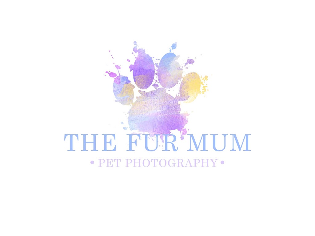 The Fur Mum Pet Photography | Oaks St, Thirlmere NSW 2572, Australia | Phone: 0415 721 683