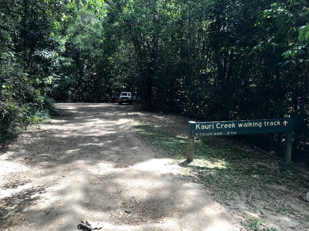 Jungaljungal Walk | park | Danbulla QLD 4872, Australia