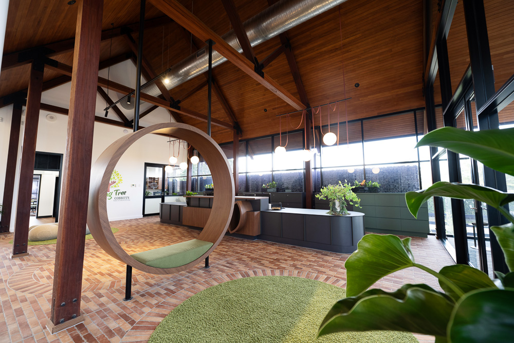 Exploring Tree Cobbitty | 335 Cobbitty Rd, Cobbitty NSW 2570, Australia | Phone: (02) 4601 4999