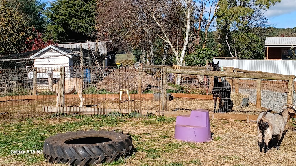 Forever Friends Animal Rescue | PLEASE NOTE: Open by appointment or pre-arrangement only, 680 Hazeldene Rd, Gladysdale VIC 3797, Australia | Phone: 0412 618 718