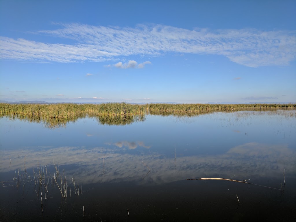 Winton Swamp Boatramp |  | 601 Lake Mokoan Rd, Chesney Vale VIC 3725, Australia | 0357611192 OR +61 3 5761 1192