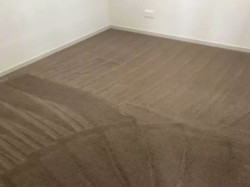 MGCT Carpet Cleaning Service | 274 Doncaster Rd, Balwyn North VIC 3104, Australia