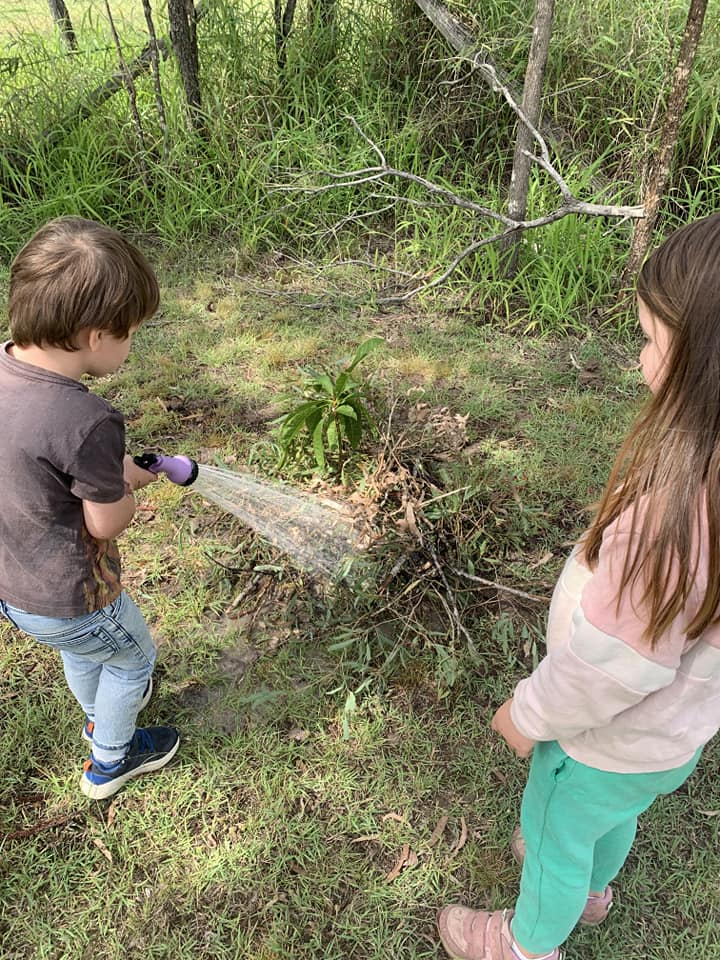 Student Care Welfare Queensland Inc | 159 Roches Rd, Withcott QLD 4122, Australia | Phone: 0402 517 523