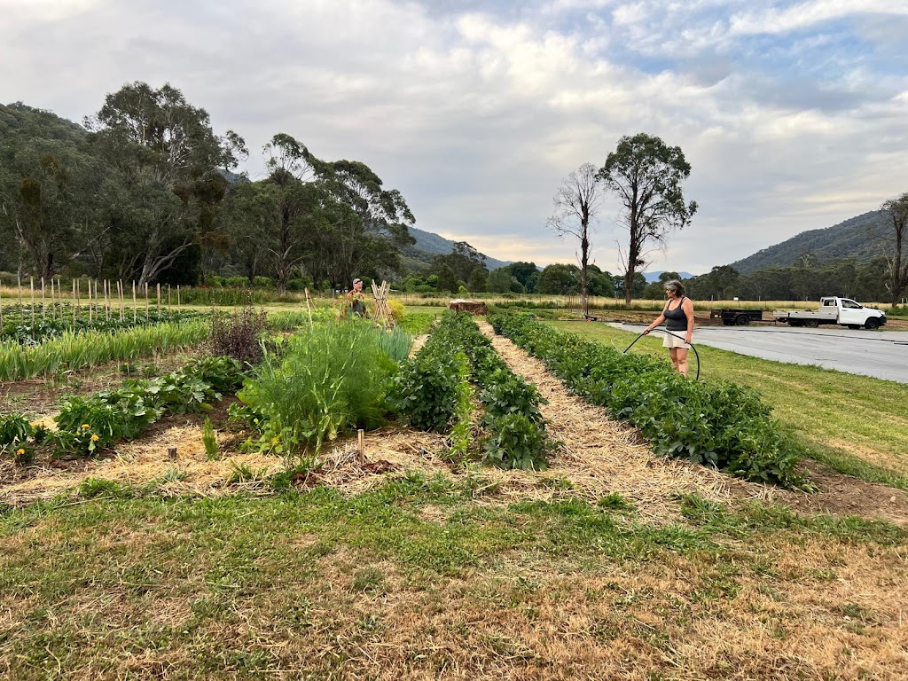 Small Patch Smoko | 1753 Great Alpine Rd, Smoko VIC 3741, Australia | Phone: 0435 079 890
