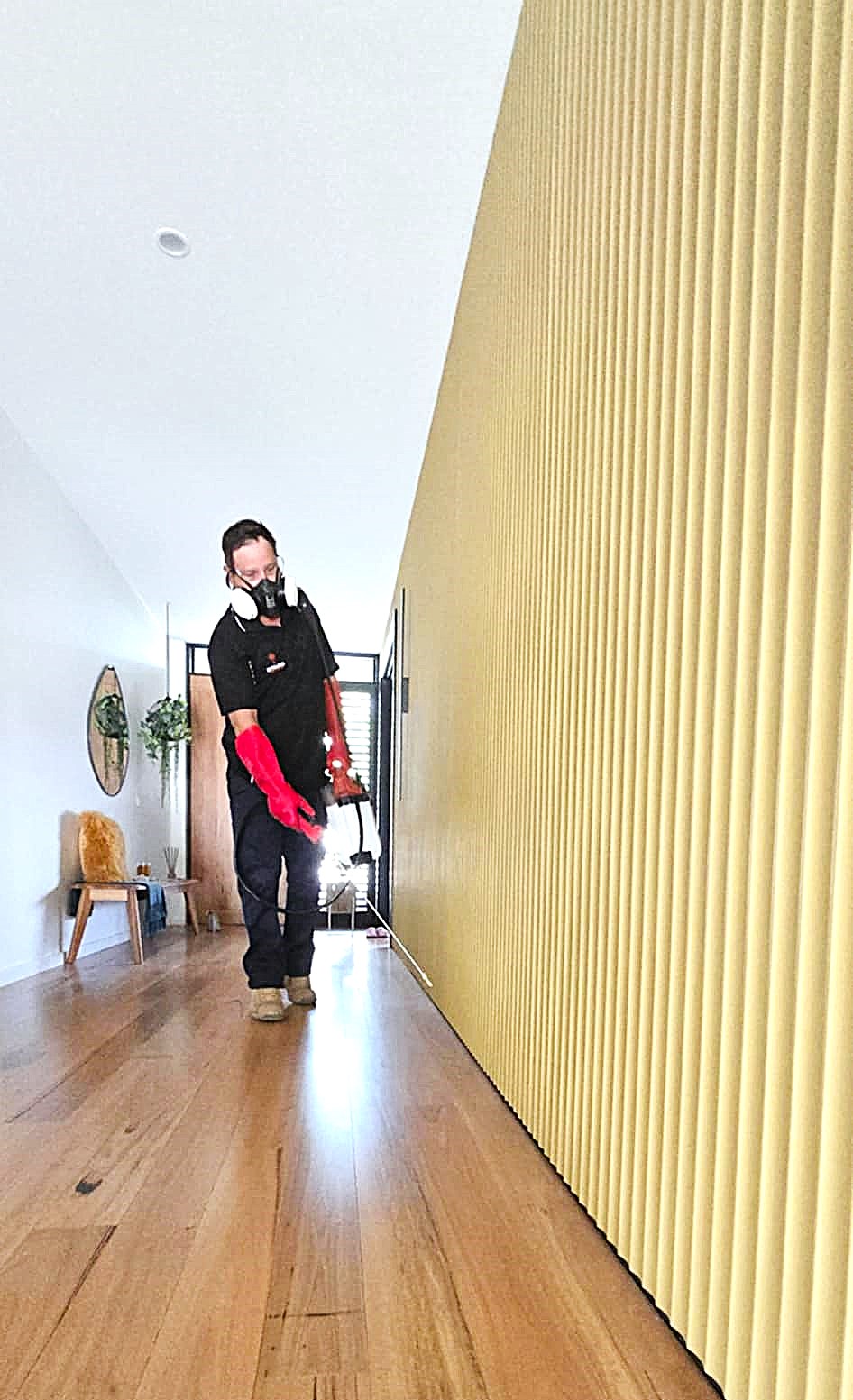 Biteless Pest Control | Kangaroo Flat VIC 3555, Australia | Phone: (03) 5446 8540