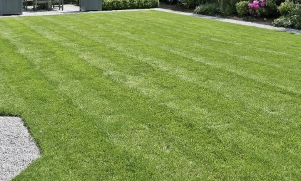 Pulse Lawn Mowing Carlingford | 5 Chestnut Ave, Telopea NSW 2117, Australia | Phone: 0447 428 121