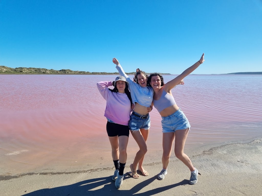Pink Lake Buggy Tours | 13 Sanford St, Gregory WA 6535, Australia | Phone: (08) 9935 1052
