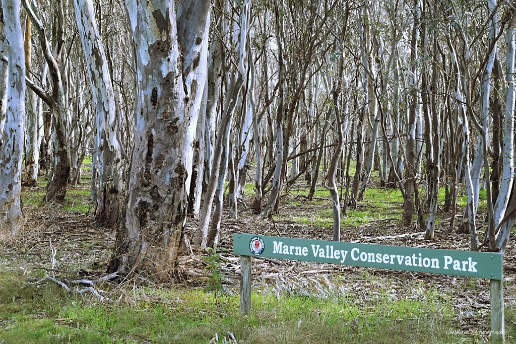 Marne Valley Conservation Park | park | Cambrai SA 5353, Australia