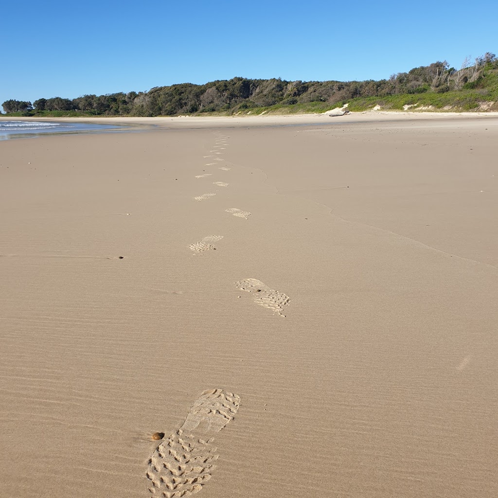 Shelley Head campground | Shelley Track S, Yuraygir NSW 2464, Australia | Phone: (02) 6641 1500