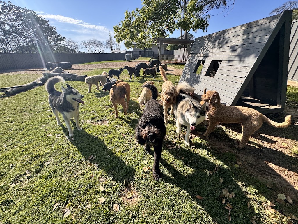 Rocky Ridge Pet Resort | 3 Jones Rd, Calga NSW 2250, Australia | Phone: 0435 764 422