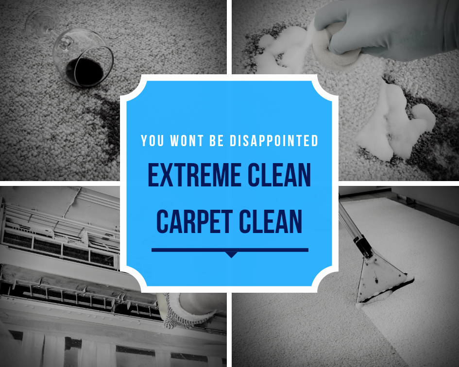 Extreme Clean Carpet Clean | 2 Marks Dr, Varsity Lakes QLD 4227, Australia | Phone: 0414 198 145