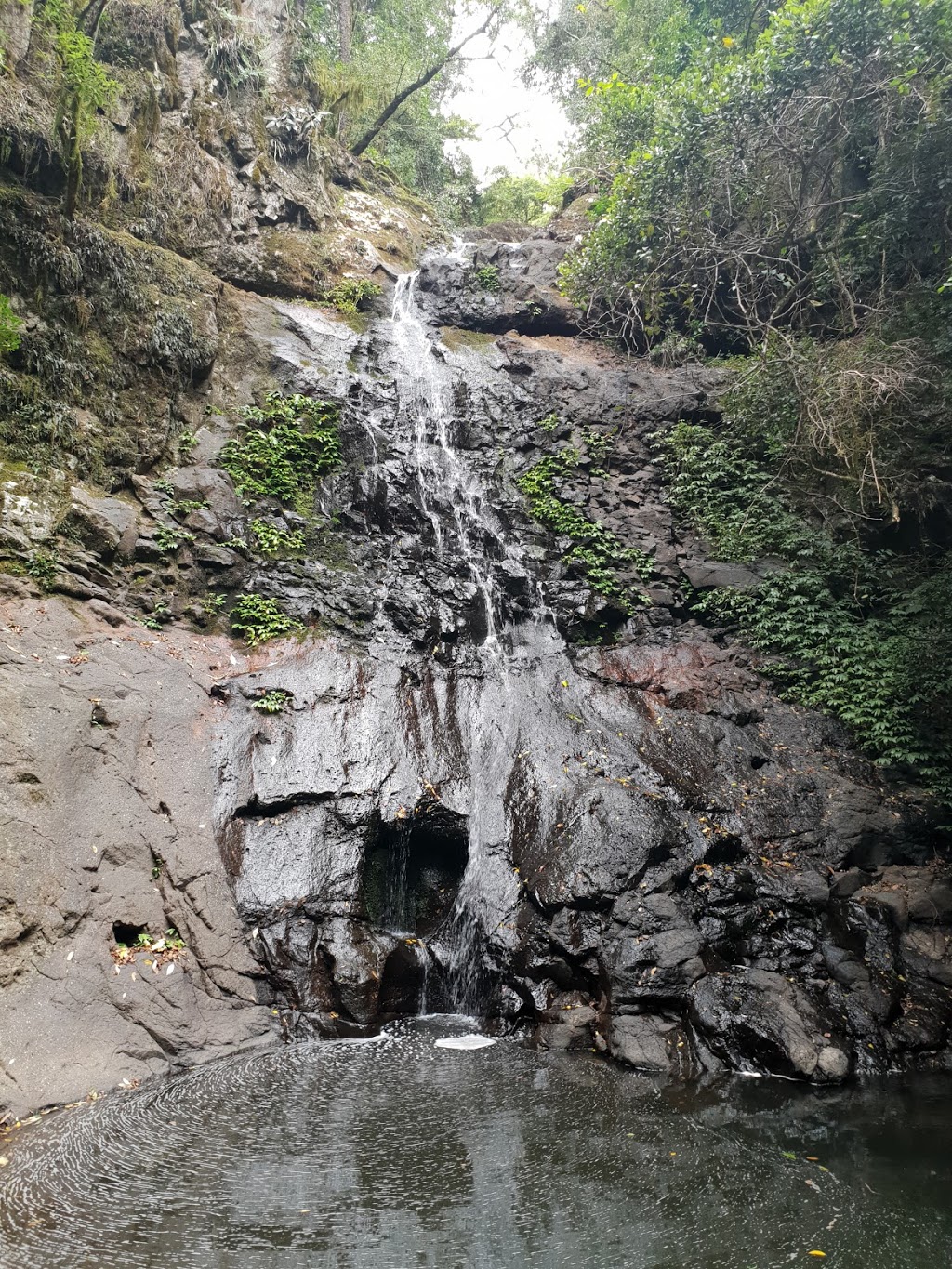 Araucaria Falls | park | Goomburra QLD 4362, Australia