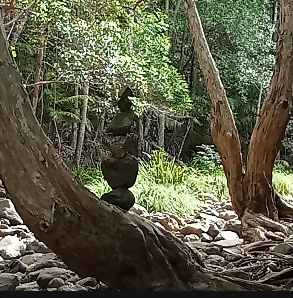Merlin2828 | 402 Repeater Station Rd, Springbrook QLD 4213, Australia | Phone: 0407 232 881