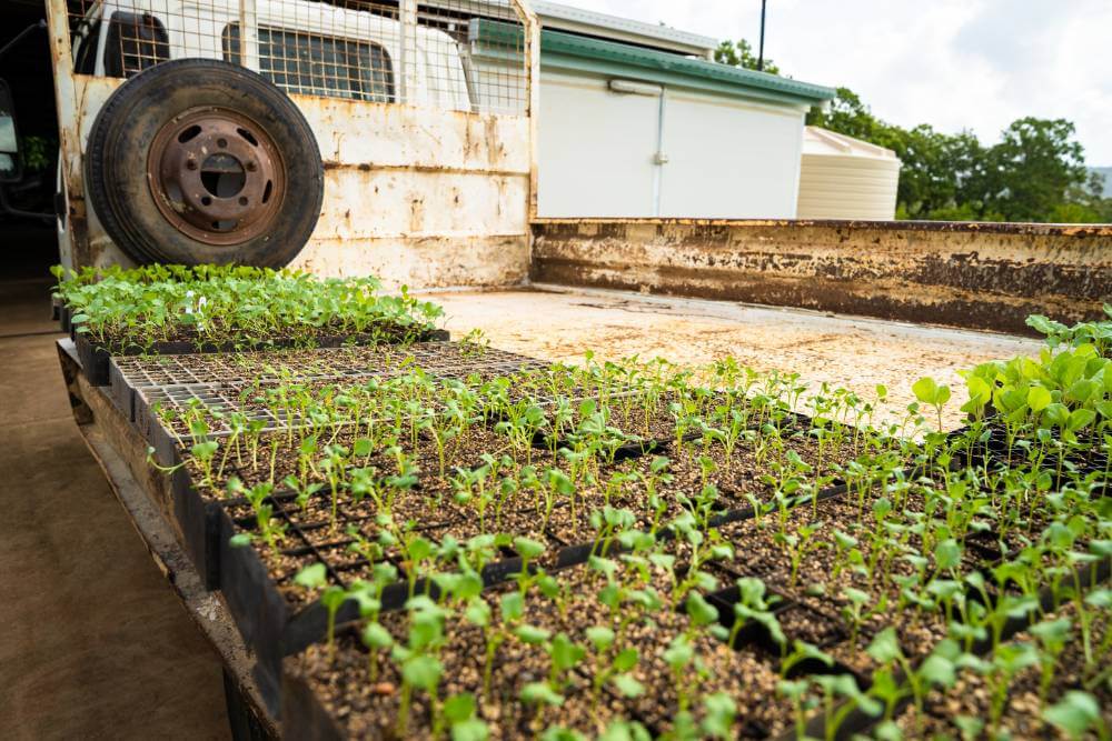 Woodvale Park Biodynamics |  | 87 Woodvale Park Rd, Adelaide Park QLD 4703, Australia | 0429097034 OR +61 429 097 034