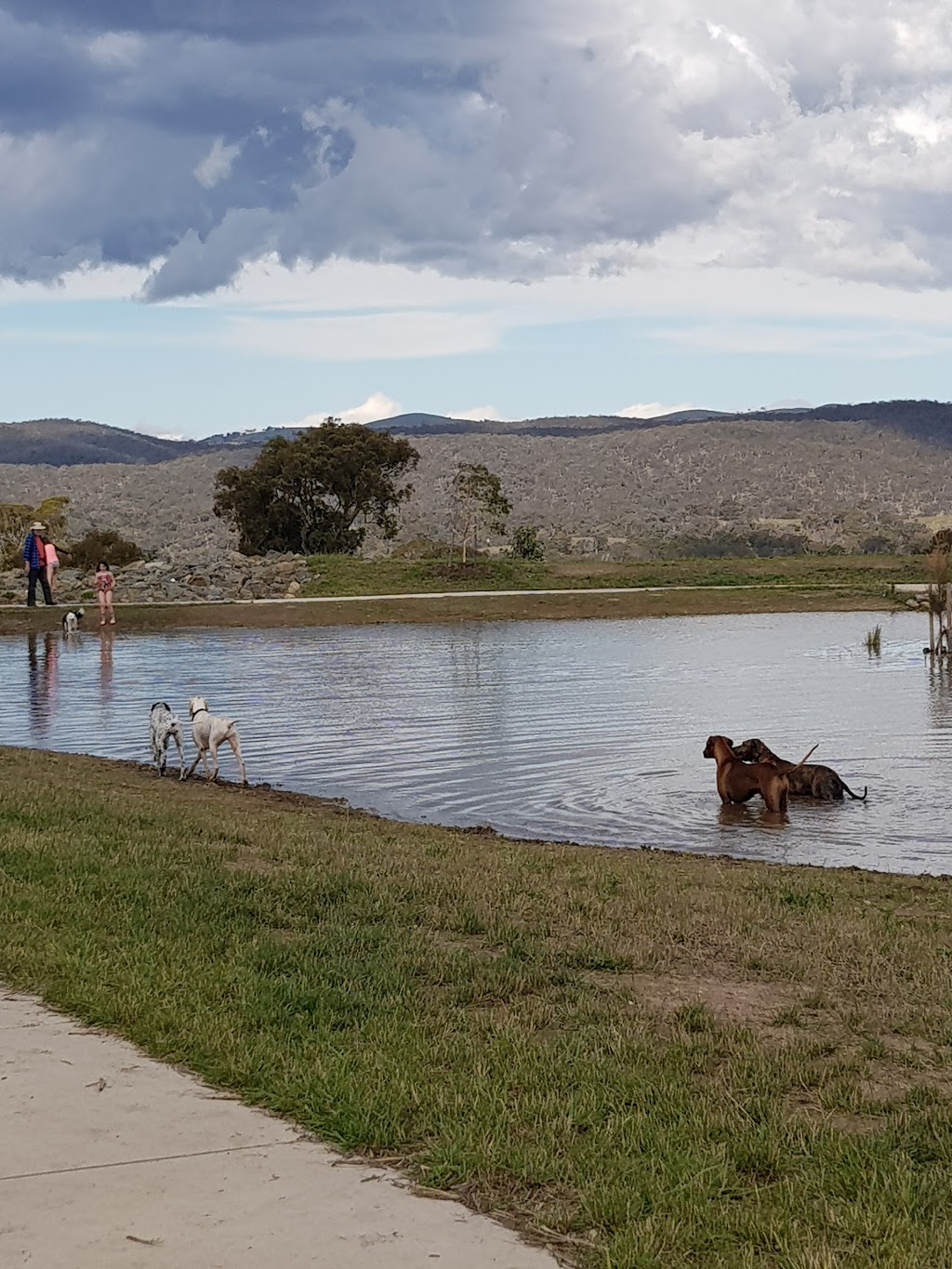 Barkley Dog Park | Googong NSW 2620, Australia