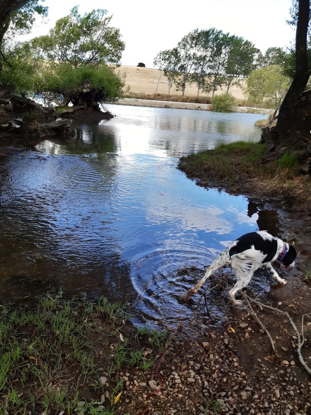 Mill Dam Reserve | park | Longford TAS 7301, Australia | 0363977303 OR +61 3 6397 7303