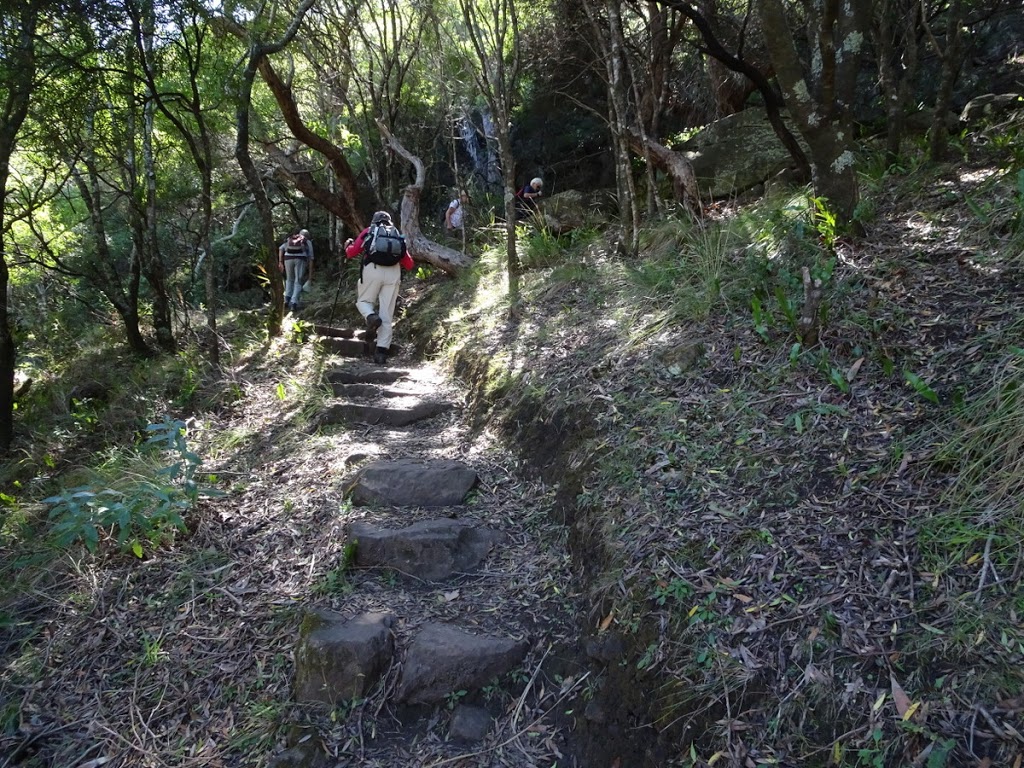 Parker Hill Camp Ground | campground | Cape Otway VIC 3233, Australia